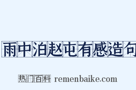 雨中泊赵屯有感造句是什么意思的图片